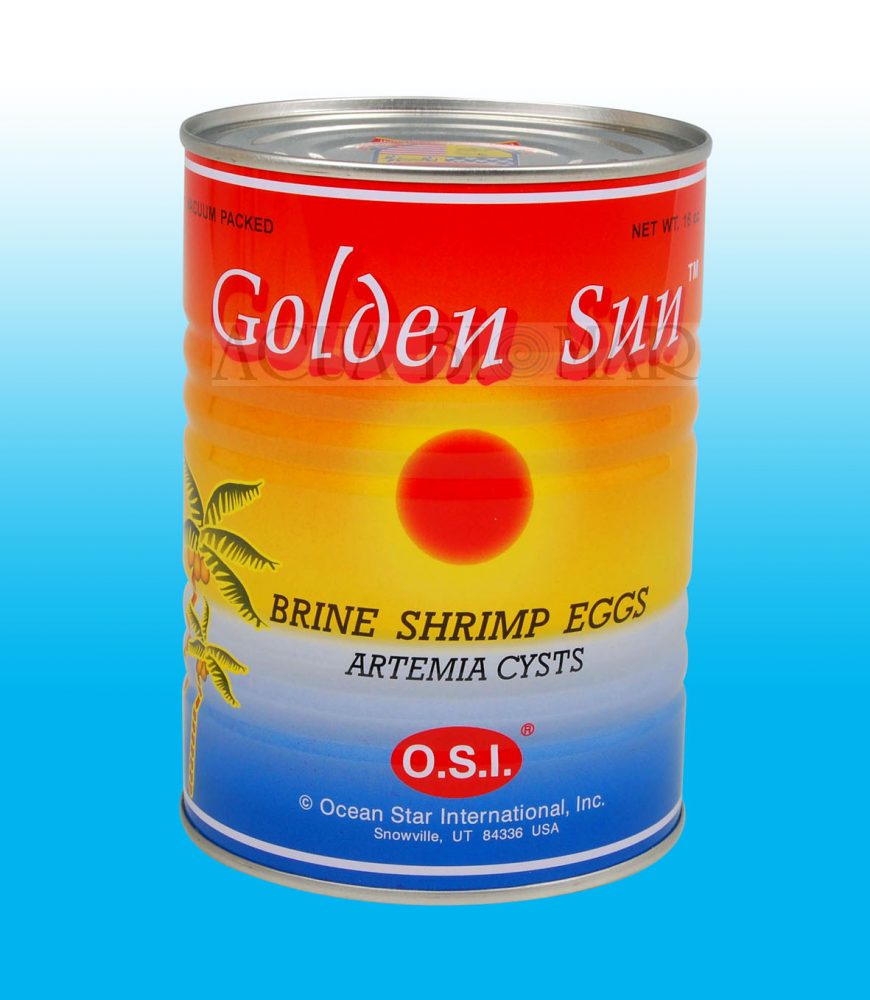 BBS O.S.I Pro 80 Red Label Baby Brine Shrimp Eggs (OSI PRO) Artemia Cyst |  Lazada PH