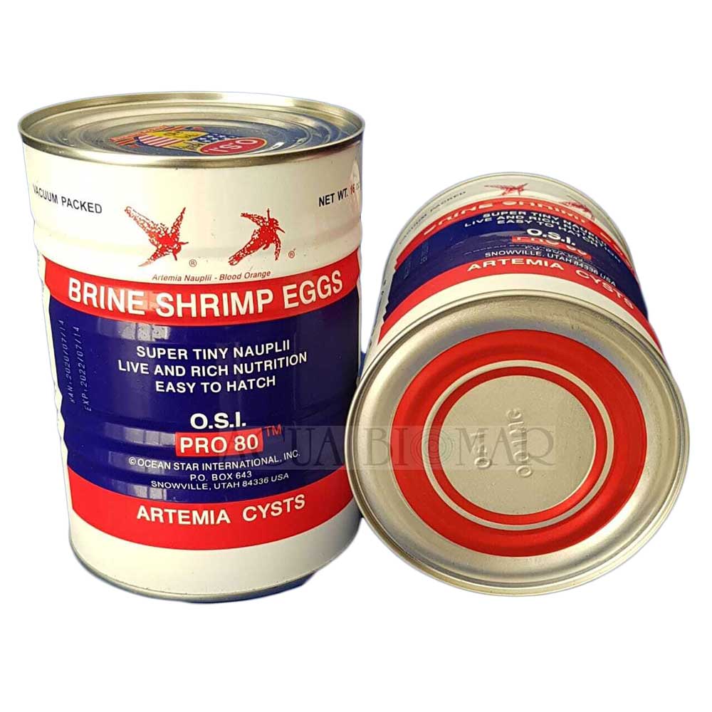 osi red ring artemia egg, Packaging Type: Tin, 464 at Rs 3000/tin in  Thrissur