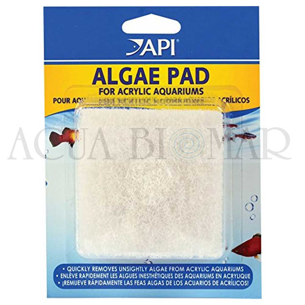 Algae Pad Acrylic